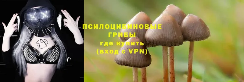 Галлюциногенные грибы MAGIC MUSHROOMS  маркетплейс состав  Копейск  ссылка на мегу маркетплейс 